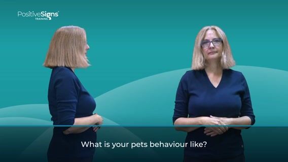 What is your pets behaviour like?