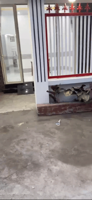 Cho thuê Nhà ở Quận Bình Thuỷ Cần Thơ diện tích 80 m² giá 6,5 triệu/tháng