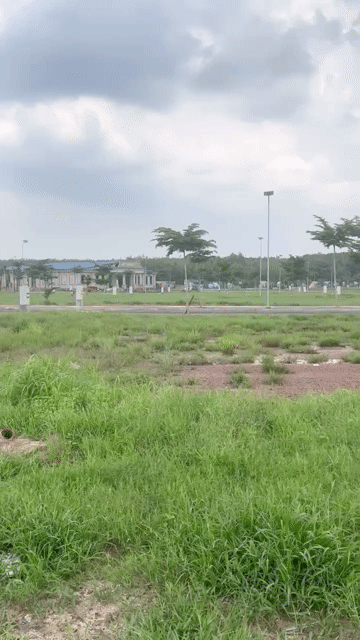 Mua bán Đất Thị xã Tân Uyên Bình Dương diện tích 80 m² giá 998 triệu