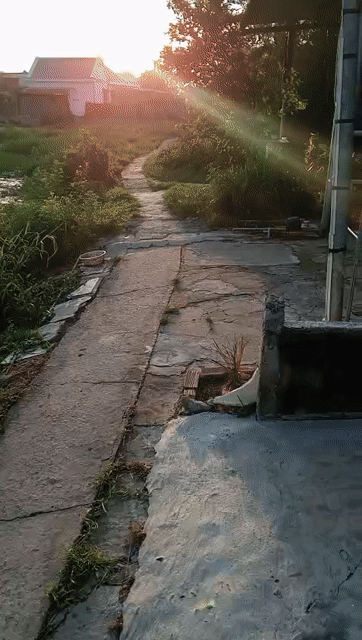 Mua bán Đất Huyện Bến Lức Long An diện tích 135 m² giá 600 triệu