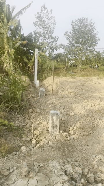 Mua bán Đất Thành phố Bến Tre Bến Tre diện tích 10000 m² giá 20 tỷ