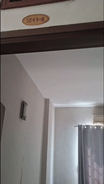 Cho thuê Căn hộ Chung cư Thành phố Nha Trang Khánh Hòa diện tích 20 m² giá 3,8 triệu/tháng