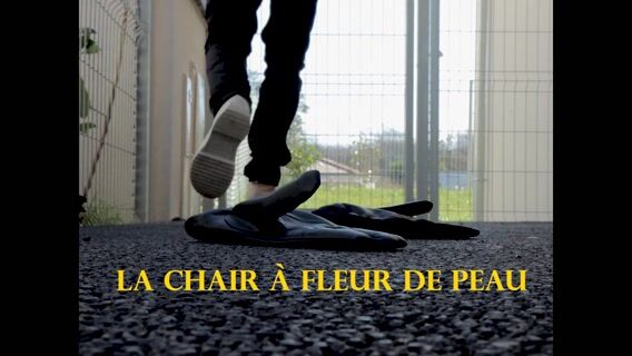 La chair à fleur de peau