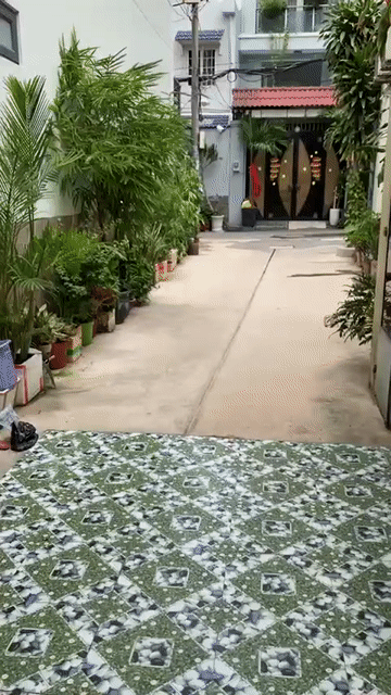 Cho thuê Phòng trọ Quận Gò Vấp Tp Hồ Chí Minh diện tích 20 m² giá 5,3 triệu/tháng
