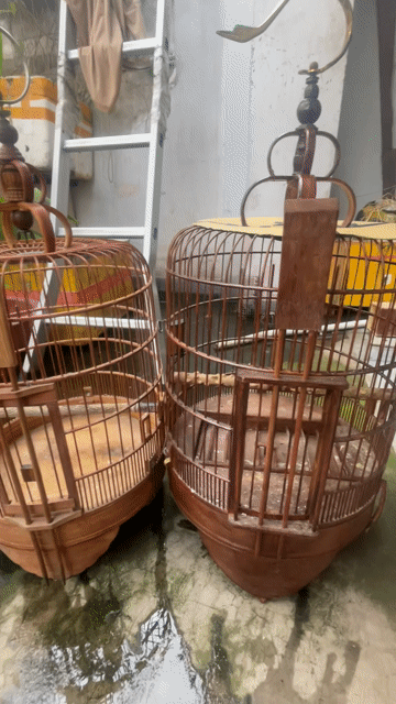 Lồng chim Gỗ Nâu Size 36. Mua bán Phụ kiện, Thức ăn, Dịch vụ tại Quận Tân Bình Tp Hồ Chí Minh được đăng bởi Trương Bá Phan Anh hình 1