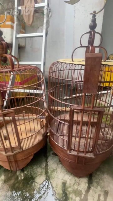 Lồng chim Gỗ Nâu Size 36. Mua bán Phụ kiện, Thức ăn, Dịch vụ tại Quận Tân Bình Tp Hồ Chí Minh được đăng bởi Trương Bá Phan Anh hình 1