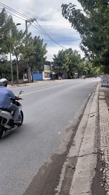 Mua bán Đất Huyện Hóc Môn Tp Hồ Chí Minh diện tích 400 m² giá 8 tỷ