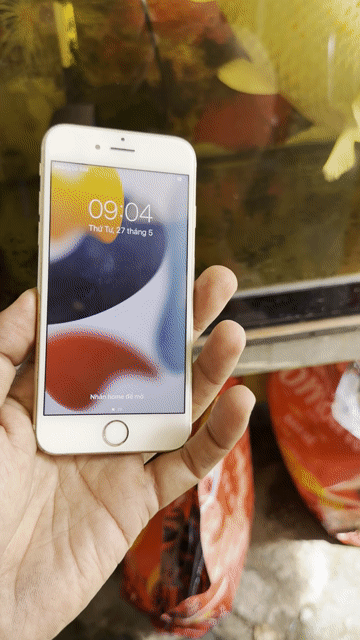 Apple iPhone 6s 64GB Vàng Đã dùng. Mua bán Điện thoại tại Quận Bình Tân Tp Hồ Chí Minh được đăng bởi DAODIDONG hình 1