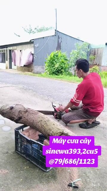 Máy cưa xích Shindaiwa 393 Đỏ Xăng. Mua bán Đồ chuyên dụng, Giống nuôi trồng tại Huyện Châu Thành Sóc Trăng được đăng bởi NHAKINHDOANH hình 1