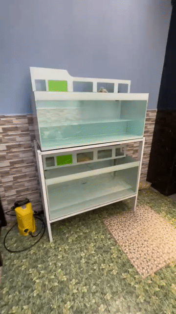 Dàn 2 tầng 1m2x50x50 - 8li. Mua bán Phụ kiện, Thức ăn, Dịch vụ tại Quận Tân Phú Tp Hồ Chí Minh được đăng bởi Tai Nguyen hình 1