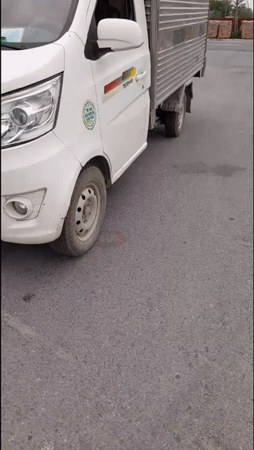 Bán xe tải Tera 100 - trọng tải 900kg. Mua bán Xe tải, xe ben tại Thành phố Phủ Lý Hà Nam được đăng bởi Tên chưa cung cấp hình 1