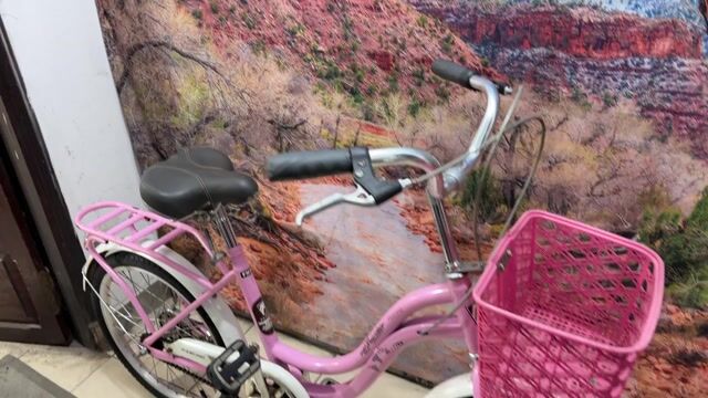 Xe trẻ em FASCINO 20 inch. Mua bán Xe đạp tại Quận Tân Bình Tp Hồ Chí Minh được đăng bởi Bbb hình 1