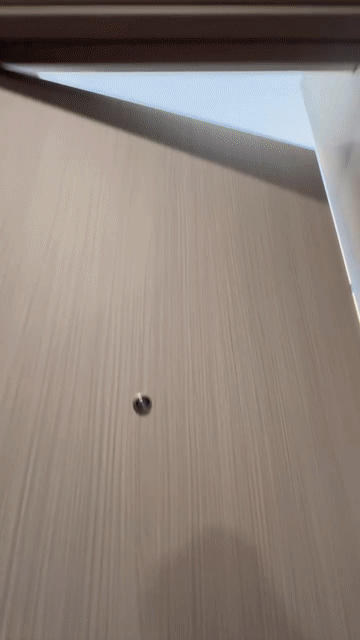 Cho thuê Căn hộ Chung cư Thành phố Thủ Đức Tp Hồ Chí Minh diện tích 22 m² giá 5,6 triệu/tháng