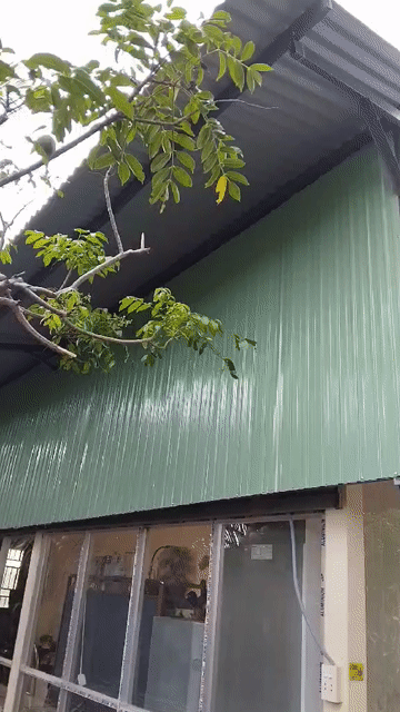 Mua bán Đất Thành phố Tây Ninh Tây Ninh diện tích 5000 m² giá 12 tỷ