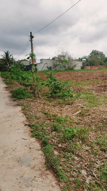 Mua bán Đất Huyện Chơn Thành Bình Phước diện tích 140 m² giá 150 triệu