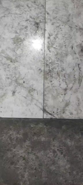 Chó Phú Quốc cái. Mua bán Chó tại Huyện Hóc Môn Tp Hồ Chí Minh được đăng bởi Chau Tu hình 1