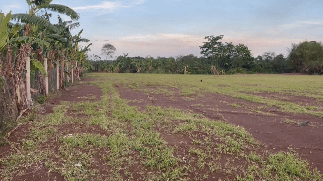 Mua bán Đất Huyện Cẩm Mỹ Đồng Nai diện tích 7900 m² giá 700 triệu