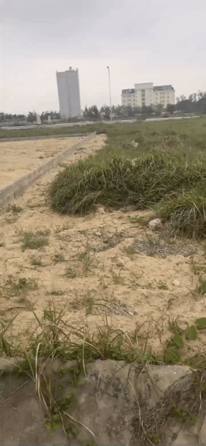 Mua bán Đất Cửa Lò Golf Resort Thị xã Cửa Lò Nghệ An diện tích 239.5 m² giá 7 tỷ