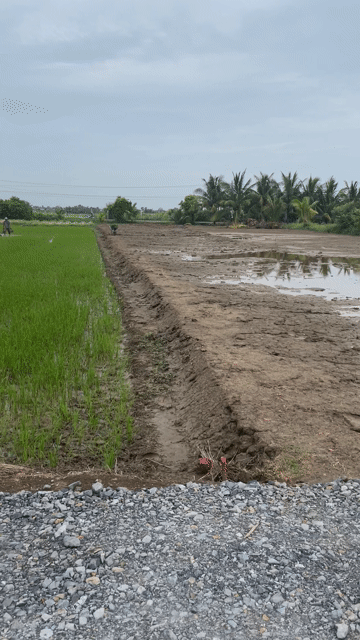 Mua bán Đất Huyện Gò Công Đông Tiền Giang diện tích 200 m² giá 270 triệu