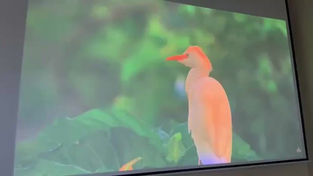 Máy chiếu Epson EB-435W Trắng xám. Mua bán Đồ dùng văn phòng tại Huyện Sóc Sơn Hà Nội được đăng bởi do quy hình 1