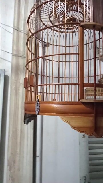 Lồng kiếm than 60nan.. Mua bán Phụ kiện, Thức ăn, Dịch vụ tại Quận Bình Thạnh Tp Hồ Chí Minh được đăng bởi Bon Chơi Cá Nguyen hình 1