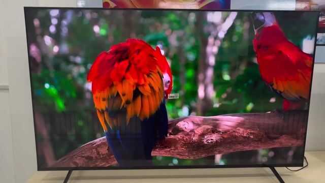 Tivi Sony 65 inch 4K. Mua bán Tivi, Âm thanh tại Quận Cẩm Lệ Đà Nẵng được đăng bởi Đình Hải hình 1