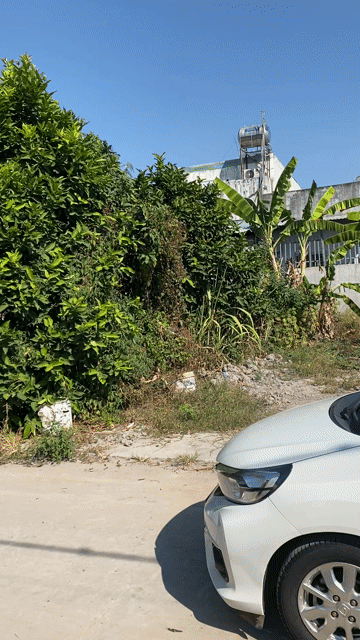 Cho thuê Nhà ở Thị xã Bến Cát Bình Dương diện tích 80 m² giá 3 triệu/tháng