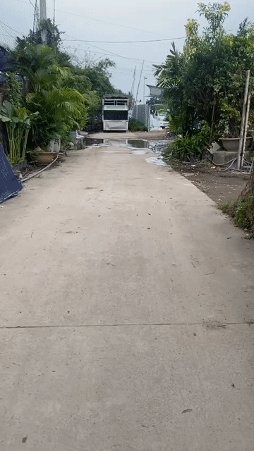 Mua bán Đất Thành phố Thủ Đức Tp Hồ Chí Minh diện tích 1000 m² giá 8,5 tỷ