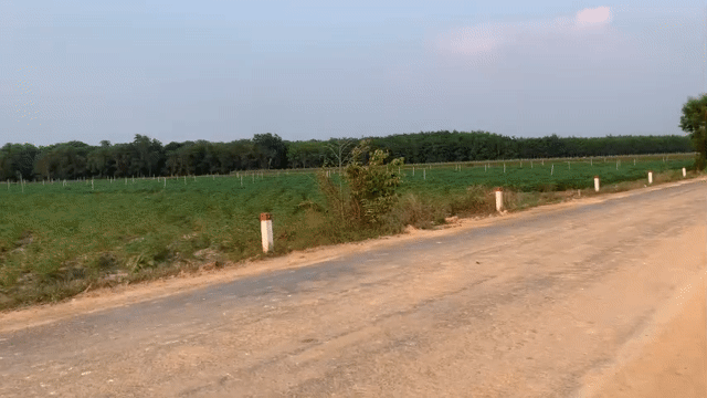 Mua bán Đất Huyện Châu Thành Tây Ninh diện tích 2000 m² giá 2,25 tỷ