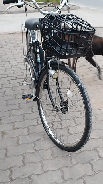 Xe đạp trợ lực Bridgestone Đen. Mua bán Xe đạp tại Quận Long Biên Hà Nội được đăng bởi Trần Nghi hình 1