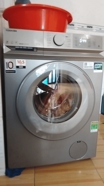 Máy giặt Toshiba 10.5kg lòng ngang. Mua bán Máy giặt tại Quận Bình Thuỷ Cần Thơ được đăng bởi Heo hình 1