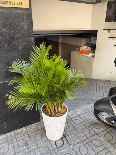 Cho thuê Văn phòng, Mặt bằng kinh doanh Quận Phú Nhuận Tp Hồ Chí Minh diện tích 100 m² giá 14 triệu/tháng