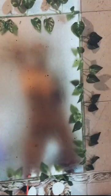 Model - Inked.Maru latina