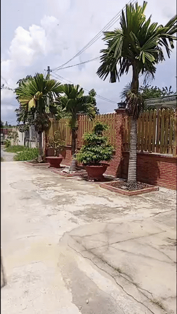 Mua bán Nhà ở Huyện Củ Chi Tp Hồ Chí Minh diện tích 375.7 m² giá 6 tỷ