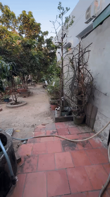 Mua bán Đất Thành phố Thủ Dầu Một Bình Dương diện tích 88.5 m² giá 1,9 tỷ