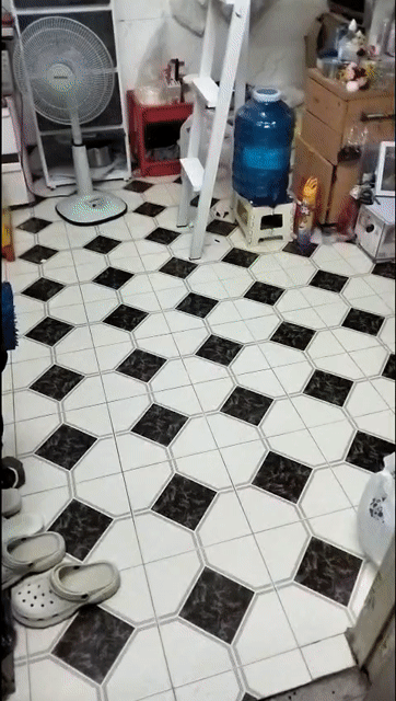 Cho thuê Phòng trọ Quận 3 Tp Hồ Chí Minh diện tích 15 m² giá 2,5 triệu/tháng