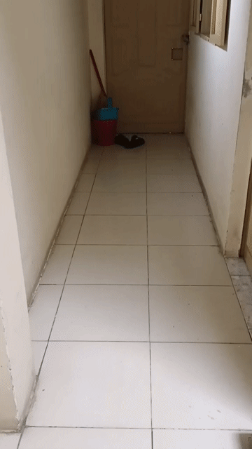 Cho thuê Phòng trọ Quận 12 Tp Hồ Chí Minh diện tích 12 m² giá 1,8 triệu/tháng