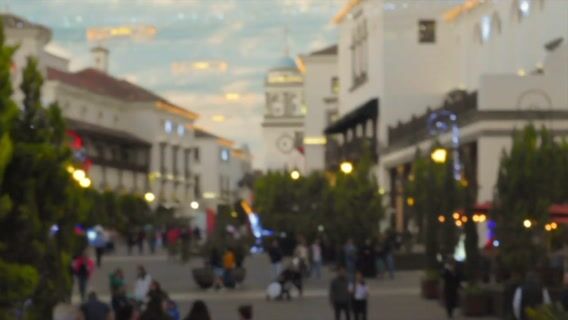 L'esthétique du chef