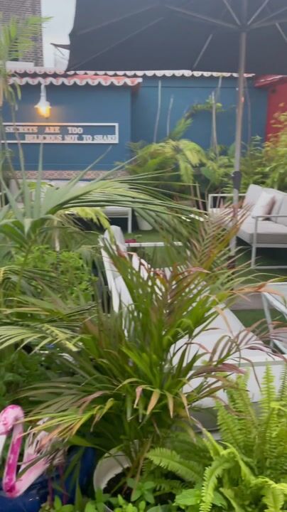 Flamingo Rooftop Bar, Funchal — terrace and bar video tour: video from Flamingo Cocktail Bar: Sé Boutique Hotel, Madeira