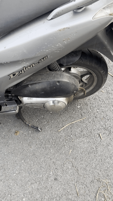 Honda Dylan 150 2002 Bạc. Mua bán Xe máy tại Quận 8 Tp Hồ Chí Minh được đăng bởi Hoàng Xanh SM hình 1