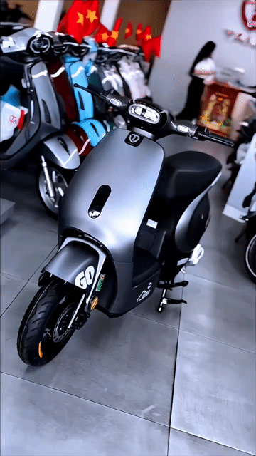 Xe đạp điện TAILG GR 55  - Góp Tư Nhân. Mua bán Xe đạp tại Thành phố Biên Hòa Đồng Nai được đăng bởi Lê Huy hình 1