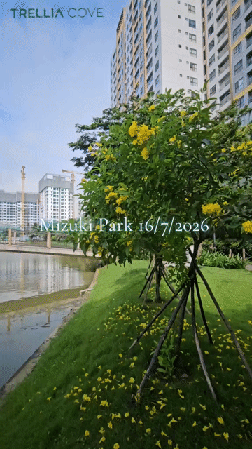 Mua bán Căn hộ Chung cư Mizuki Park Huyện Bình Chánh Tp Hồ Chí Minh diện tích 59 m² giá 4,6 tỷ