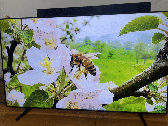 Tivi Samsung 65 inch Smart TV. Mua bán Tivi, Âm thanh tại Quận Long Biên Hà Nội được đăng bởi Minh Vy hình 1