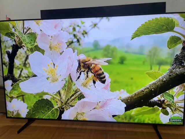 Tivi Samsung 65 inch Smart TV. Mua bán Tivi, Âm thanh tại Quận Long Biên Hà Nội được đăng bởi Minh Vy hình 1
