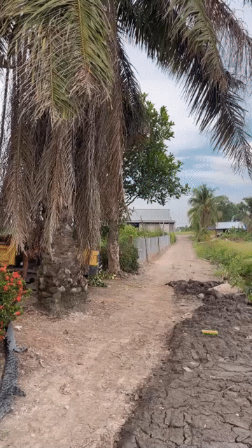 Mua bán Nhà ở Huyện Thủ Thừa Long An diện tích 770 m² giá 799 triệu