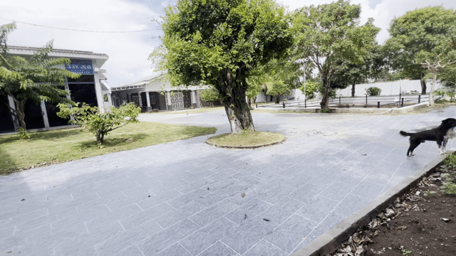 Cho thuê Nhà ở Thành phố Bà Rịa Bà Rịa - Vũng Tàu diện tích 2450 m² giá 50 triệu/tháng