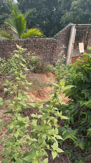 Mua bán Đất Huyện Lạng Giang Bắc Giang diện tích 396.5 m² giá 1,25 tỷ