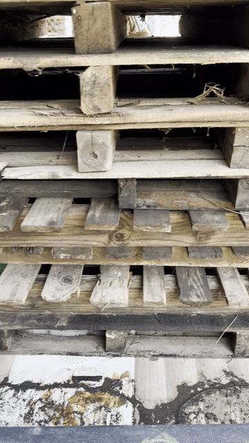 Pallet gỗ 1m1x1m1 còn tốt. Mua bán Giường, chăn ga gối nệm tại Huyện Mang Thít Vĩnh Long được đăng bởi Đoàn Kiến Quốc  hình 1