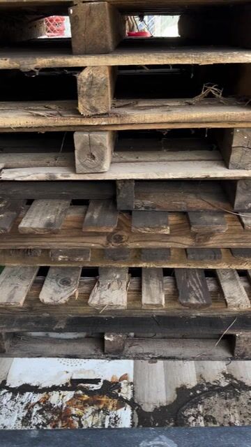 Pallet gỗ 1m1x1m1 còn tốt. Mua bán Giường, chăn ga gối nệm tại Huyện Mang Thít Vĩnh Long được đăng bởi Đoàn Kiến Quốc  hình 1