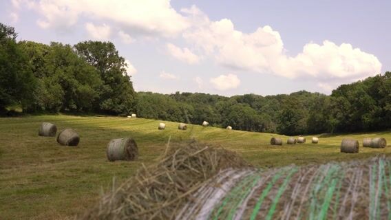 #92 Agriculture et adaptation